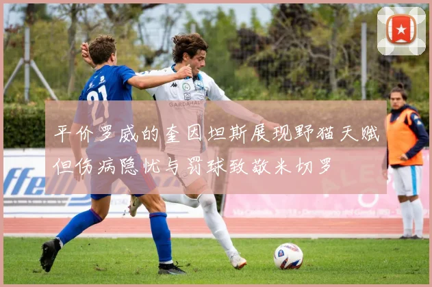 平价罗威的奎因坦斯展现野猫天赋但伤病隐忧与罚球致敬米切罗