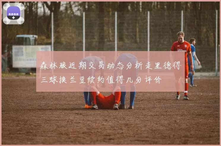 森林狼近期交易动态分析走里德得三球换兰豆续约值得几分评价